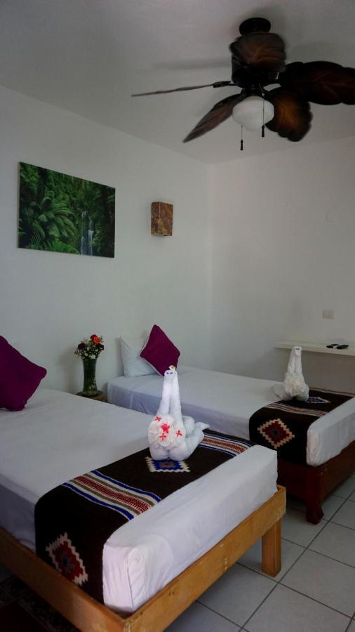 Selva Y Mar Apart Hotel Плая-дель-Кармен Экстерьер фото